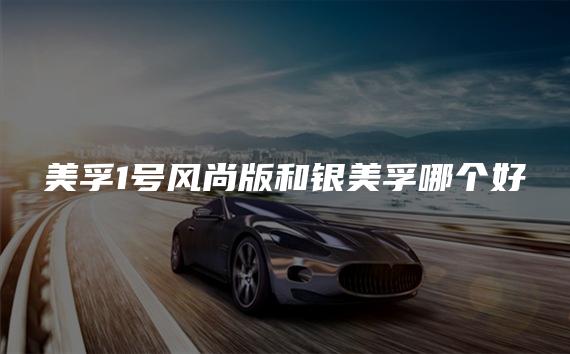 美孚1号风尚版和银美孚哪个好