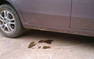 汽车漏油一般在地上哪个位置