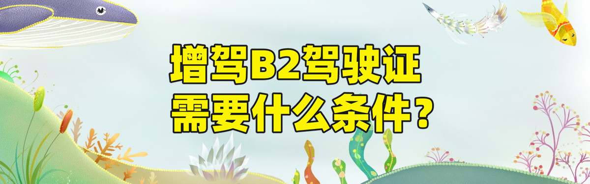 【费用透明】安庆市哪里有学b2驾校的？拿证时间打打快于行业标准？