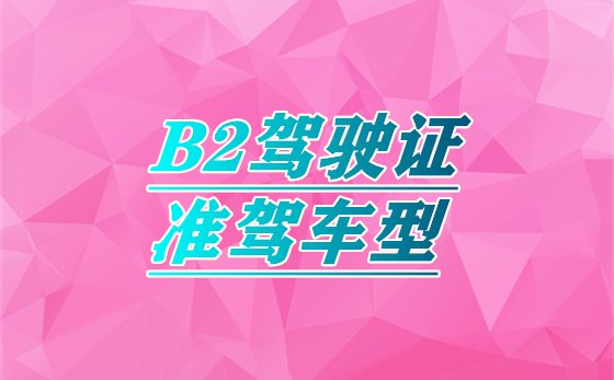 景德镇市有哪几家驾校可以学B2