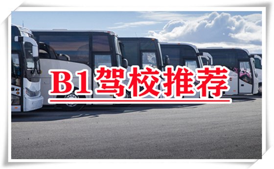 安庆哪个驾校可以增驾B1?