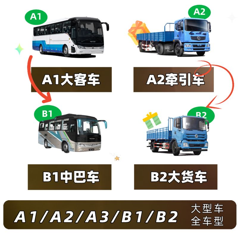 广东哪里增驾B2照?