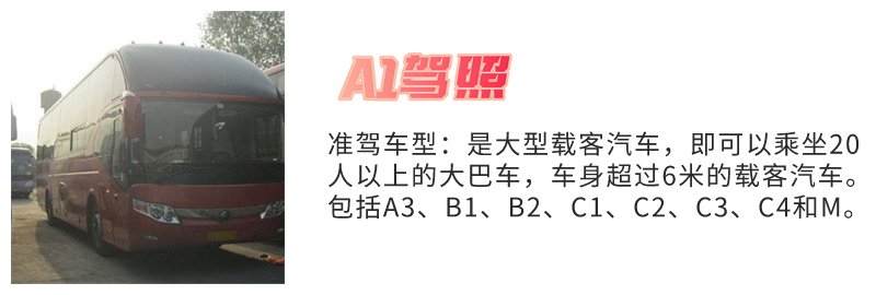 来宾A3驾照在哪里报名？
