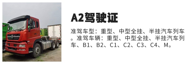 临泉B2驾驶证报名地点-