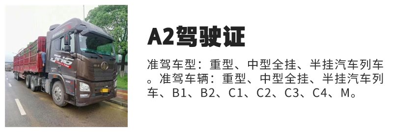 临泉B2驾照在哪里报名？