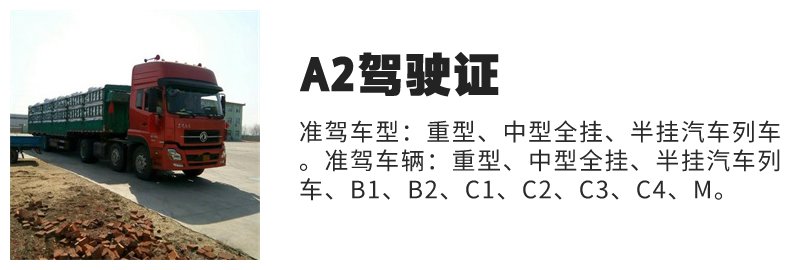 桐城B2驾照学费多少钱？