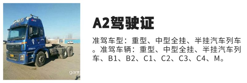 乐陵A2驾校在哪里？