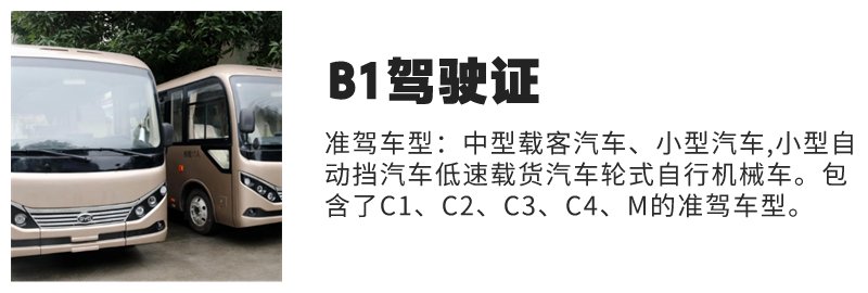 乐山B2驾照驾校在哪里报名