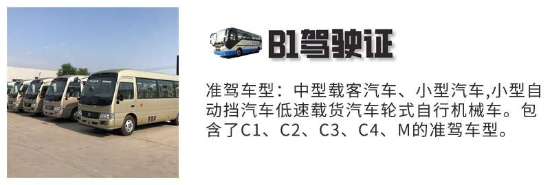 文登B2驾校报名热线-