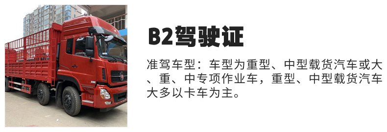 定远B2驾校哪家最靠谱?